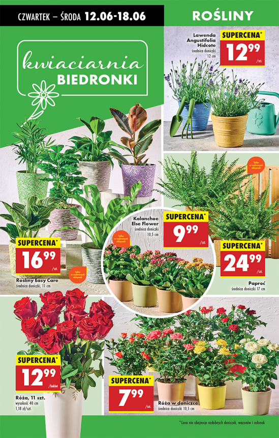 Biedronka gazetka