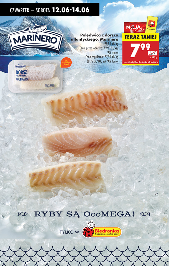 Biedronka gazetka