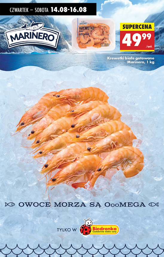 Biedronka gazetka