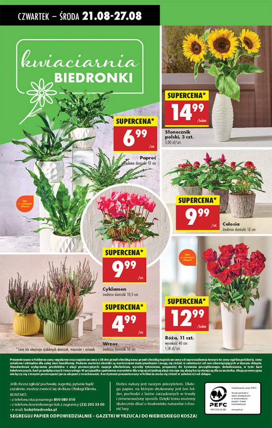 Biedronka gazetka