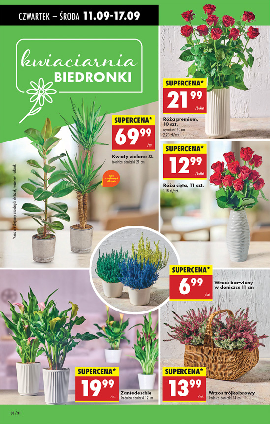 Biedronka Jasło Dębowiec - gazetka promocyjna