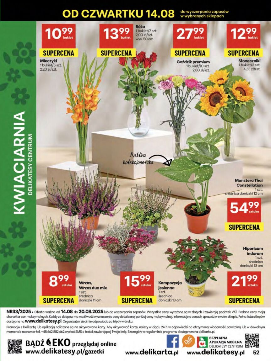 Delikatesy Centrum Jasło - Gazetka promocyjna 25/2024