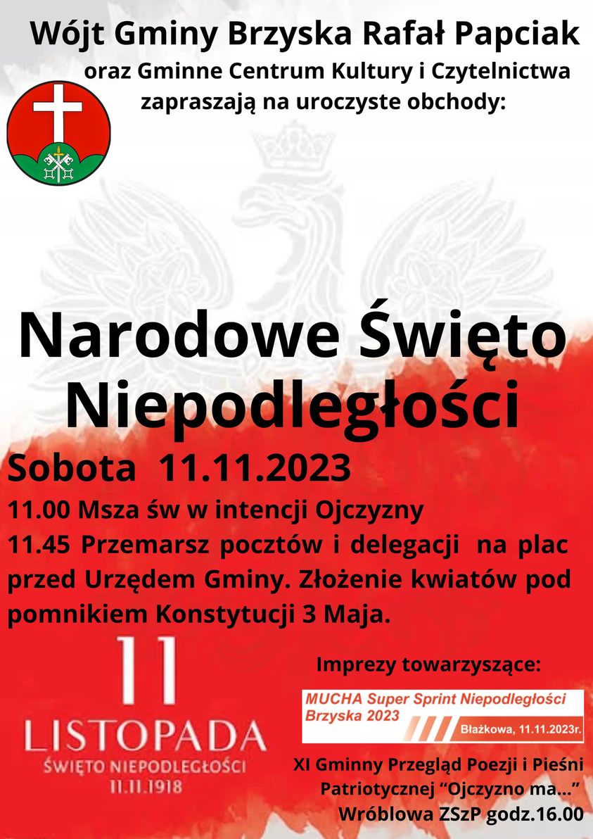 Obchody Święta Niepodległości w Brzyskach