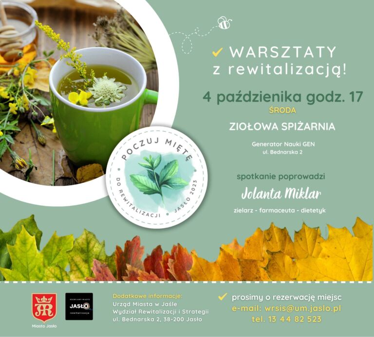 Warsztaty z rewitaizacją w Jaśle