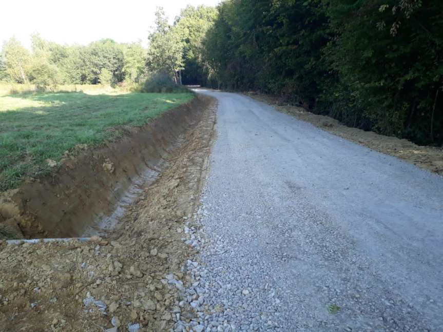 Drogi do pól w Wolicy, Niepli i Trzcinicy