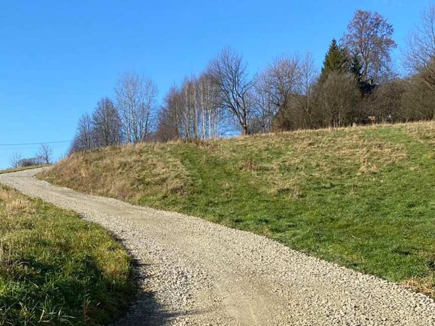 Drogi do pól w Wolicy, Niepli i Trzcinicy