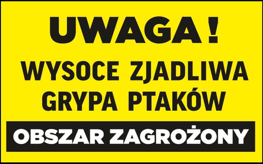 Gmina Skołyszyn w obszarze zagrożonym ptasią grypą