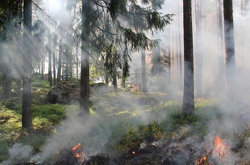 Nie wypalajcie traw - apeluje wójt Gminy Jasło