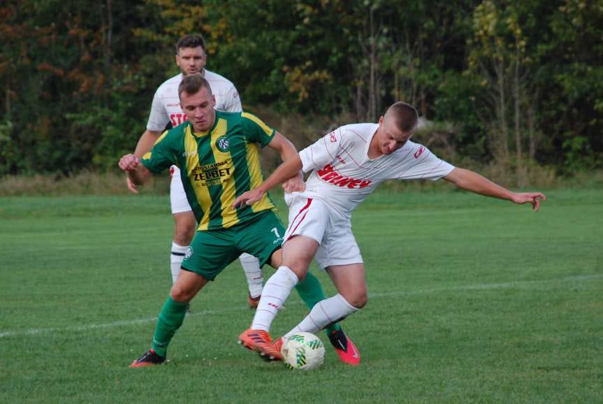 Piłka nożna. V liga krośnieńska. Cosmos Nowotaniec bezlitosny dla Czeluśnicy