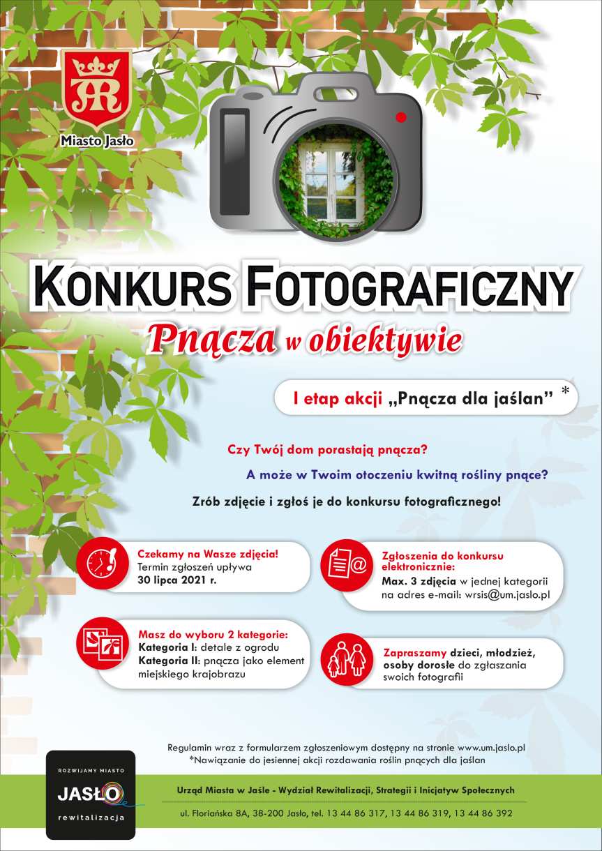 Pnącza w obiektywie. Konkurs fotograficzny w Jaśle