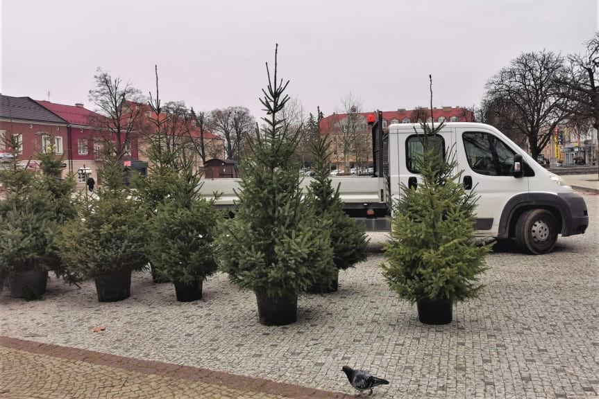 dekoracje świąteczne w Jaśle