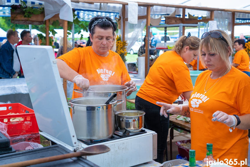 XII Festiwal Smaków Regionalnych Pierogi w Tarnowcu