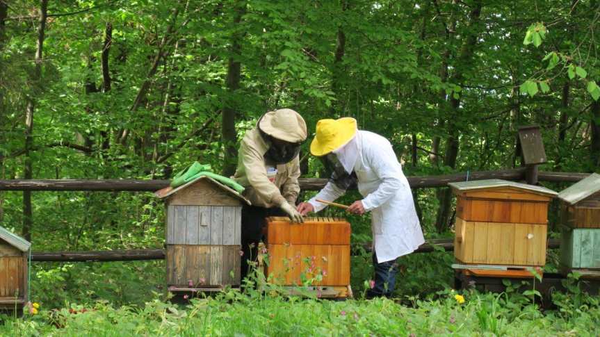 W „lesie pszczelarskim” świętowali Dzień Pszczół
