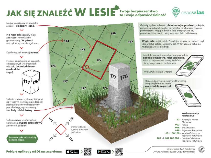 Wyrwij się z miasta do lasu dzięki czaswlas.pl