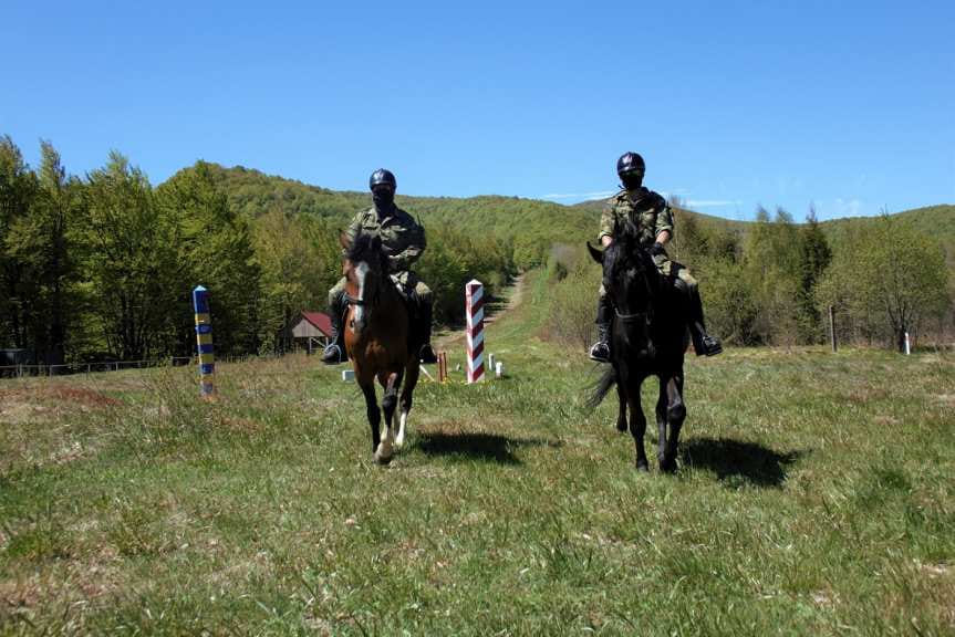 Dożywotnia opieka dla psów i koni służbowych Straży Granicznej