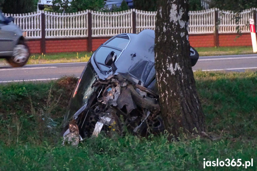 Krajowice. Renault uderzył w drzewo. Dwie osoby ranne