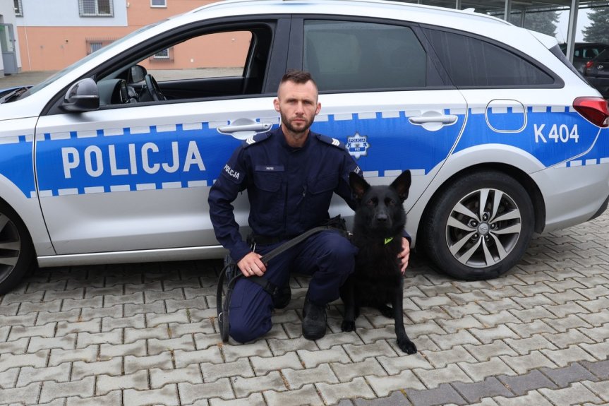 Owczarek niemiecki Wega zasilił szeregi policji Owczarek niemiecki Wega zasilił szeregi policji