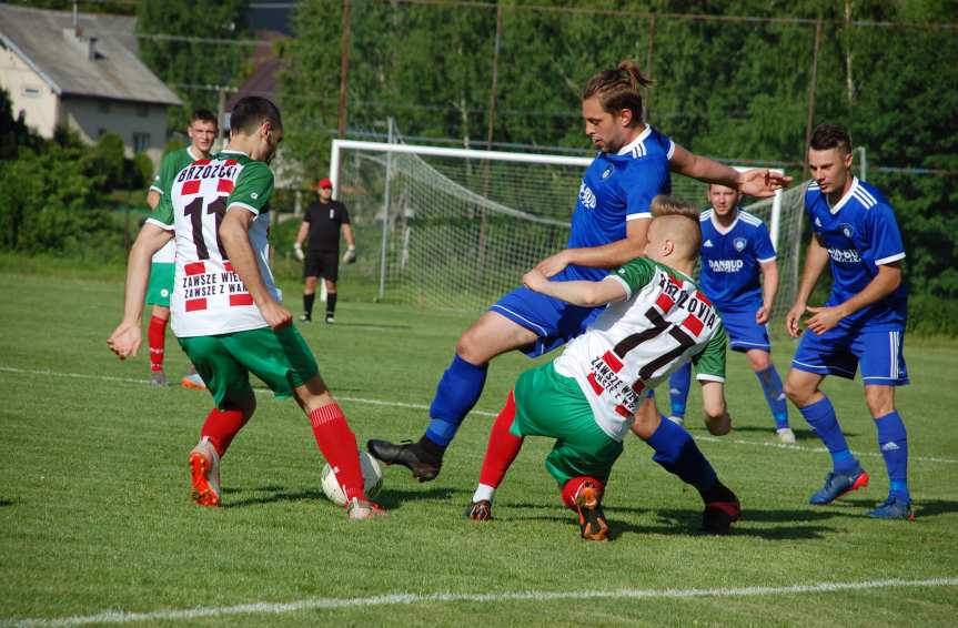 Piłka nożna. V liga. Strzelecka niemoc Tempa Nienaszów. Brzozovia skorzystała z "prezentów"