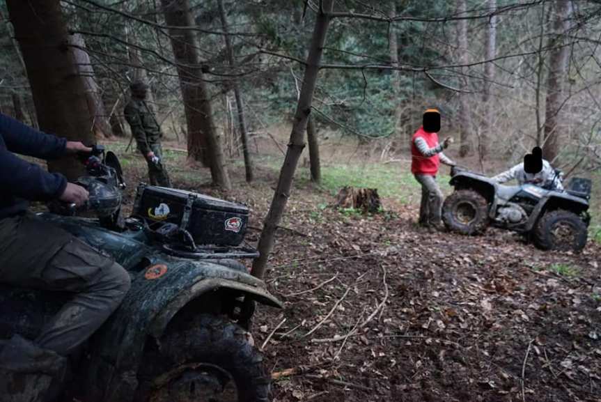 Rusza akcja Straży Leśnej "Majówka-21"