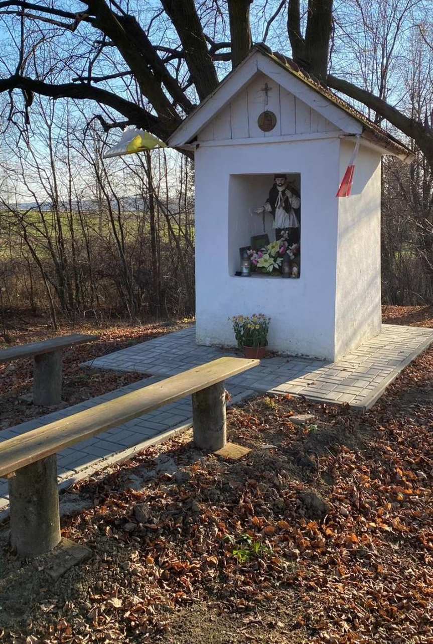 Szebnie. Porządek wokół kapliczki na mogile cholerycznej