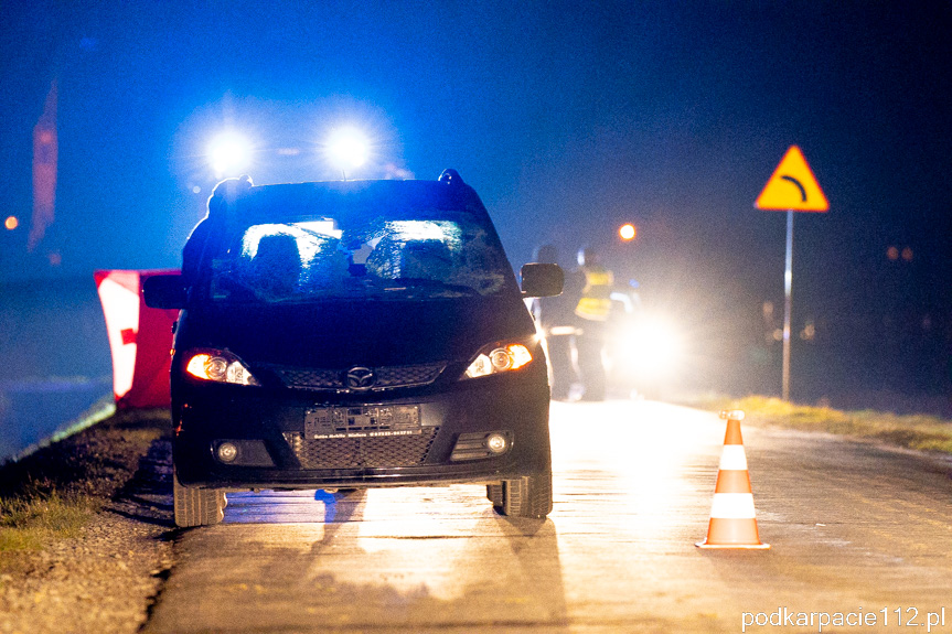 Tragiczny wypadek w Trześniowie Tragiczny wypadek w Trześniowie