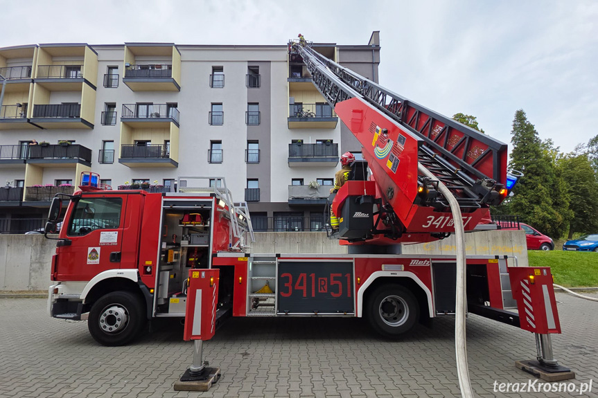 Zadymienie w mieszkaniu w Krośnie – interweniowały służby Zadymienie w mieszkaniu w Krośnie – interweniowały służby