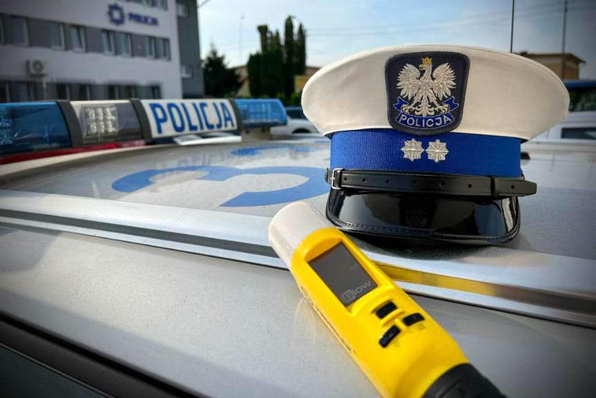 Zgubiła go ciekawość Zgubiła go ciekawość