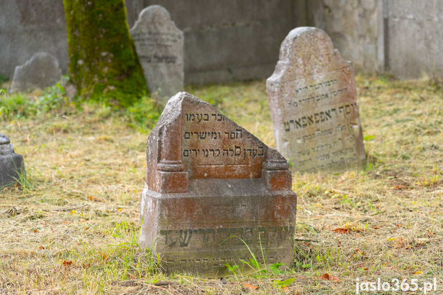 4. Dzień pamięci poświęcony Żydowskiej Społeczności Jasła