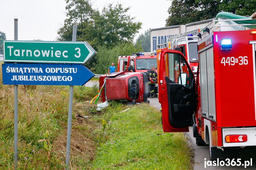 Dachowanie w Czeluśnicy