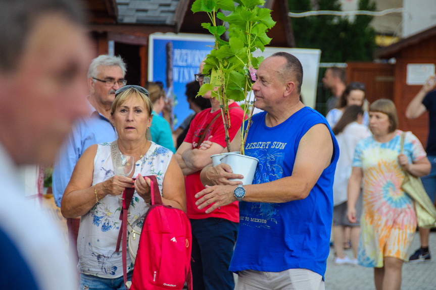 Dni Wina w Jaśle