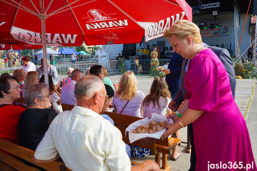 Dożynki i dni Gminy Osiek Jasielski
