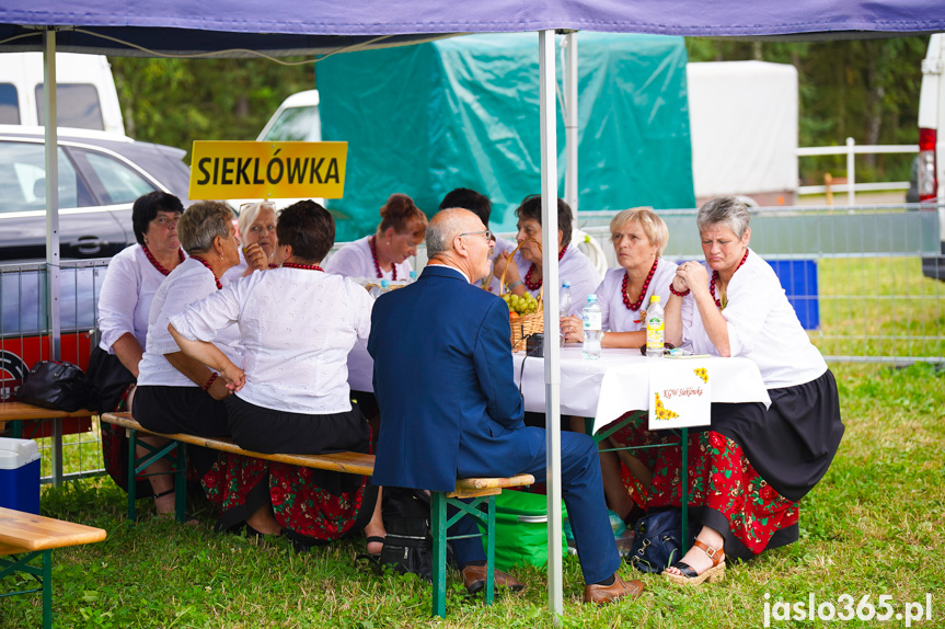 Dożynki Powiatowe w Bieździedzy