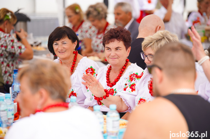 Dożynki Powiatowe w Bieździedzy