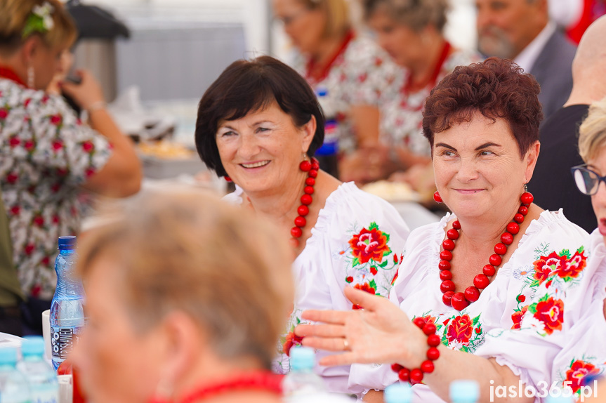 Dożynki Powiatowe w Bieździedzy
