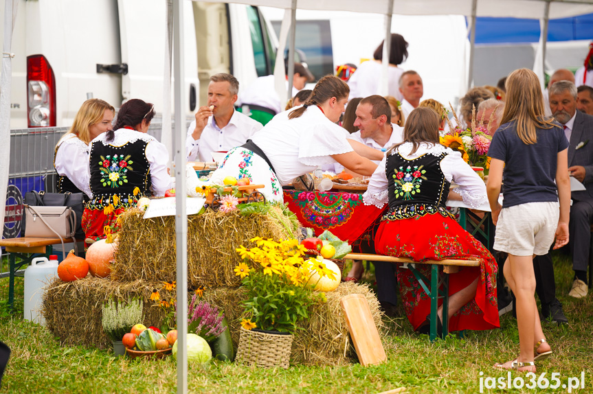 Dożynki Powiatowe w Bieździedzy