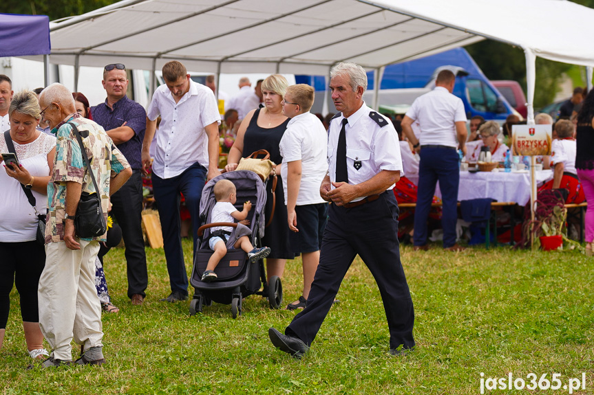 Dożynki Powiatowe w Bieździedzy