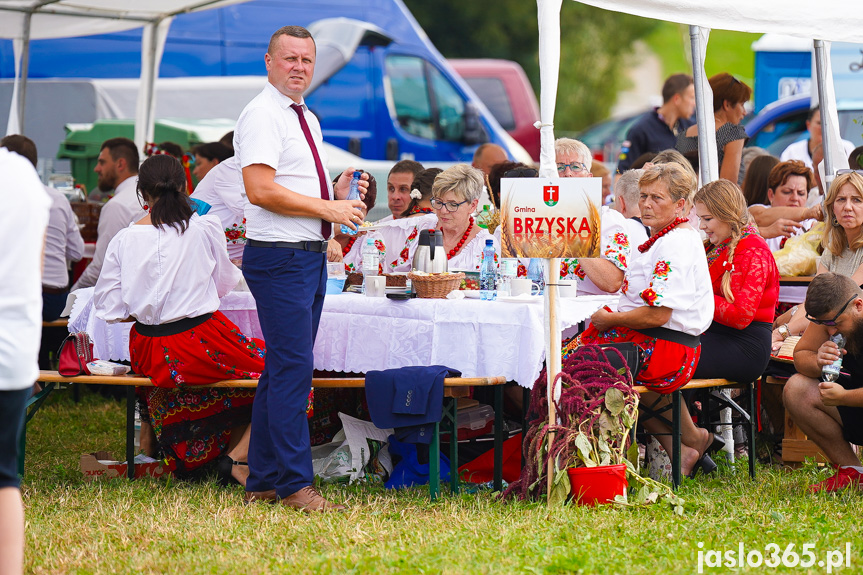 Dożynki Powiatowe w Bieździedzy
