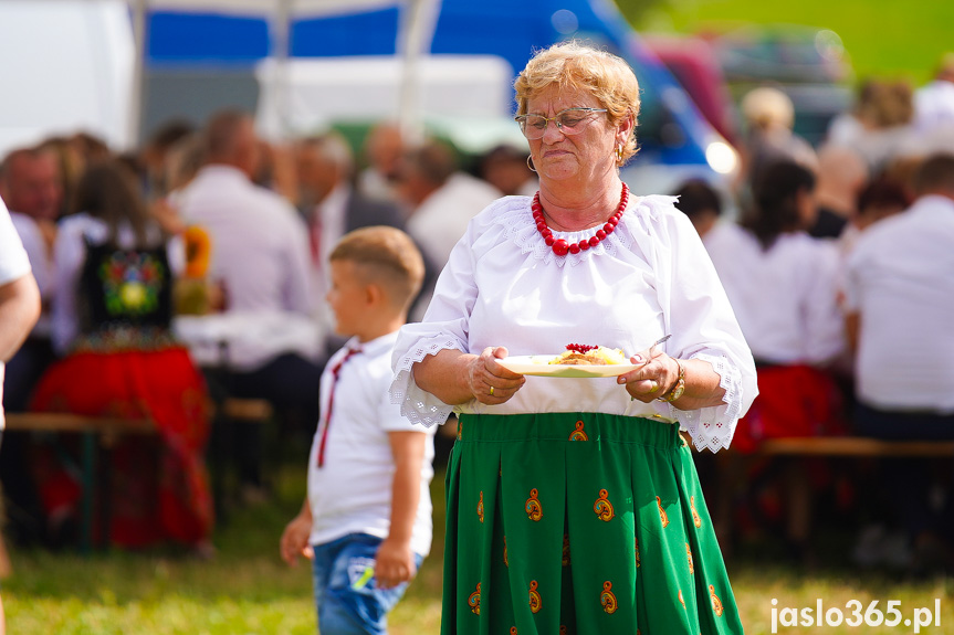 Dożynki Powiatowe w Bieździedzy