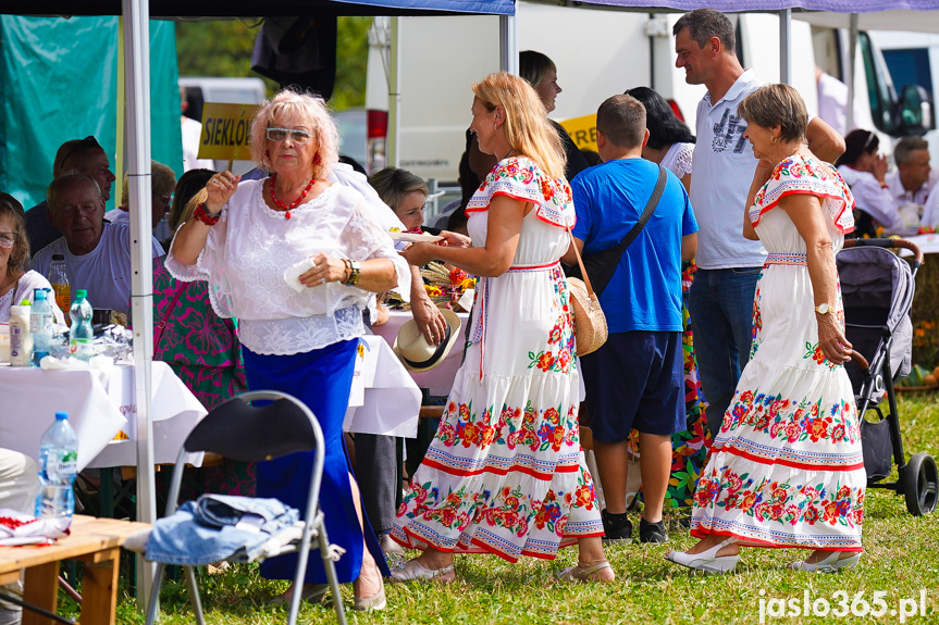 Dożynki Powiatowe w Bieździedzy