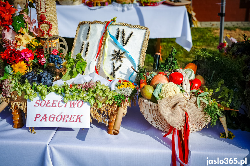 Dożynki w Woli Dębowieckiej