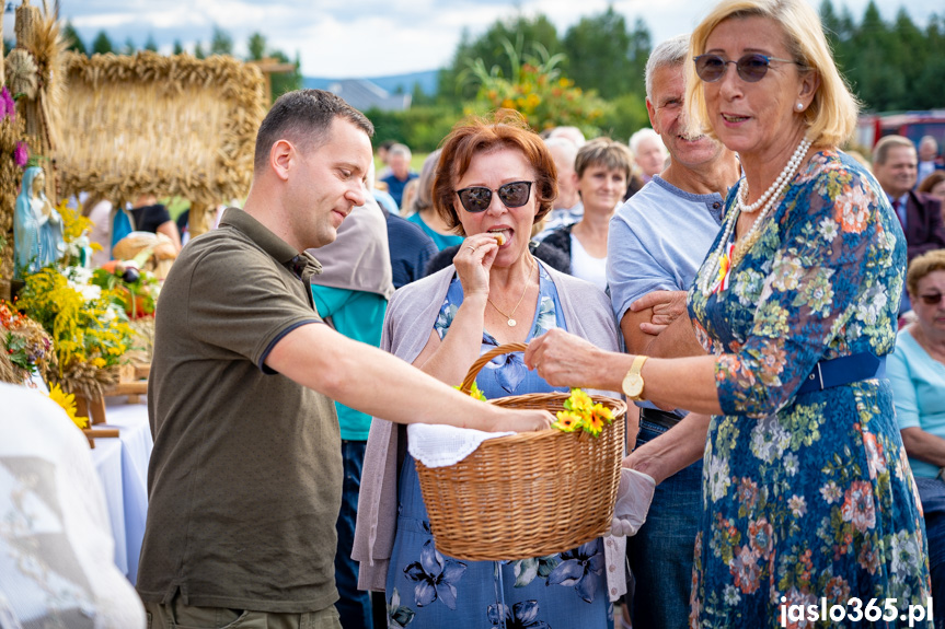 Dożynki w Woli Dębowieckiej
