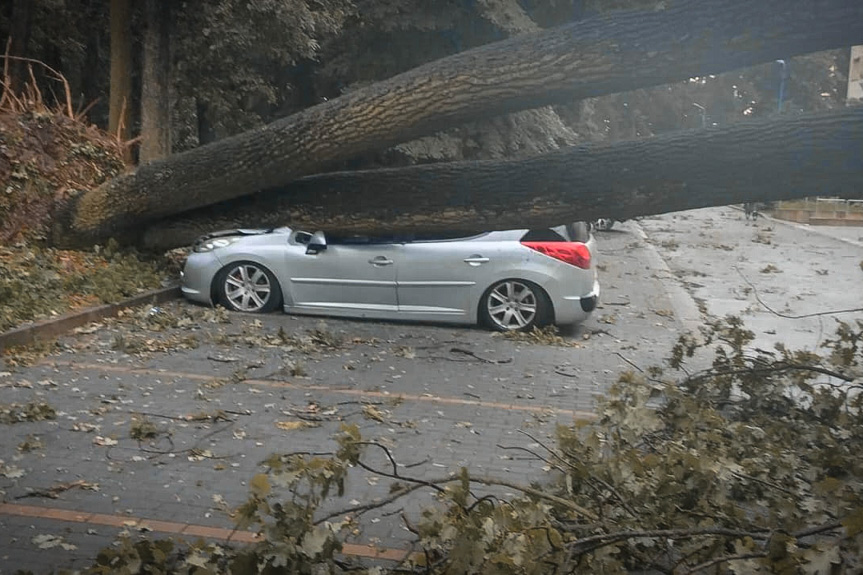 Interewncje strażaków po burzach na Podkarpaciu