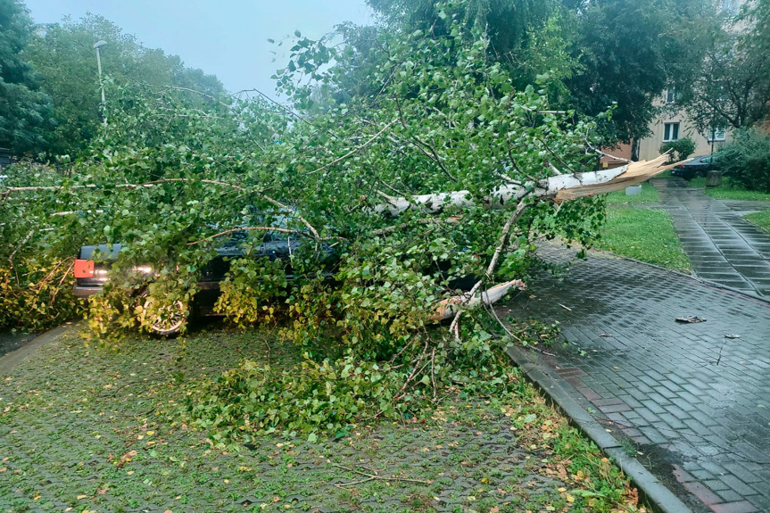 Interewncje strażaków po burzach na Podkarpaciu
