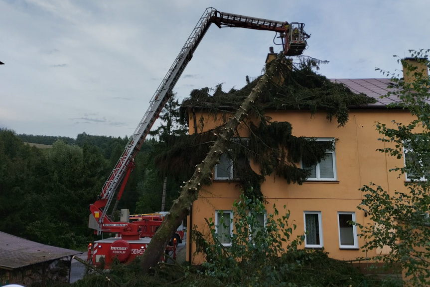 Interewncje strażaków po burzach na Podkarpaciu