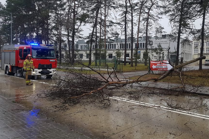 Interwencje strażaków na Podkarpaciu