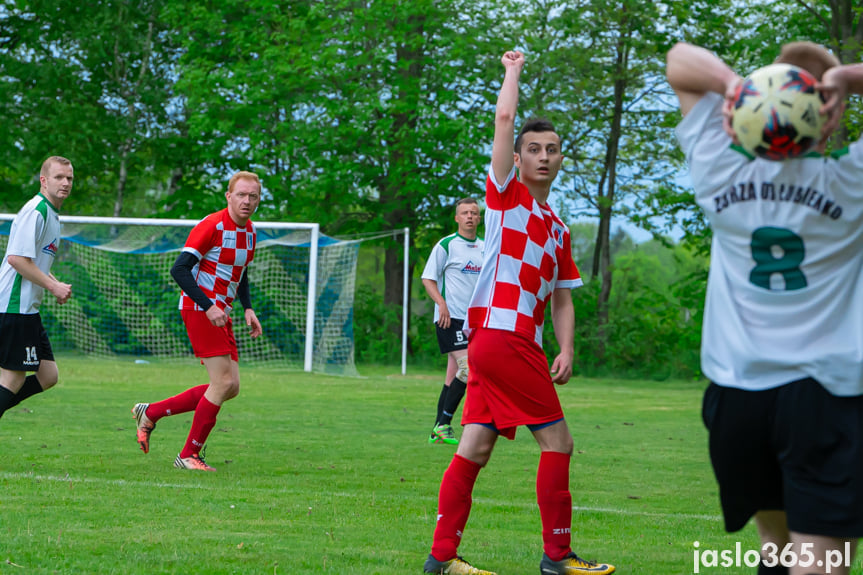 Jasiołka Świerzowa Polska - Zorza 03 Łubienko 1:1