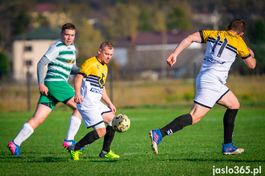 Liwocz Brzyska - Orzeł Faliszówka 2:0