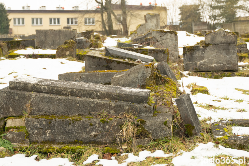 Obchody Dnia Pamięci o Ofiarach Holokaustu w Jaśle