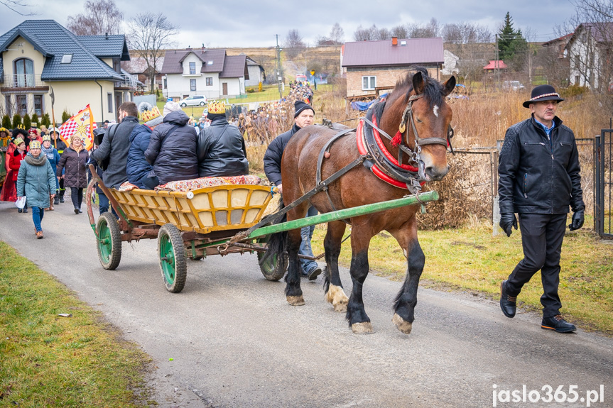 Orszak Trzech Króli w Nienaszowie