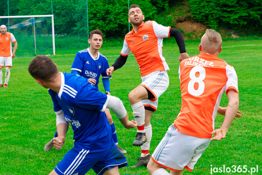 Orzeł Faliszówka - Tempo Nienaszów 2:1